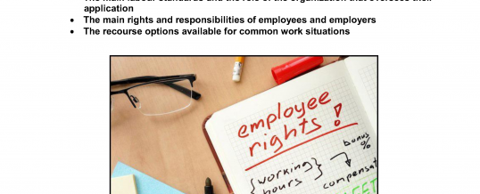 THE LABOUR MARKET IN CANADA: Working conditions, your rights and responsibilities